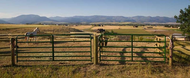 A horse is standing in a field behind a fence with mountains in the background.