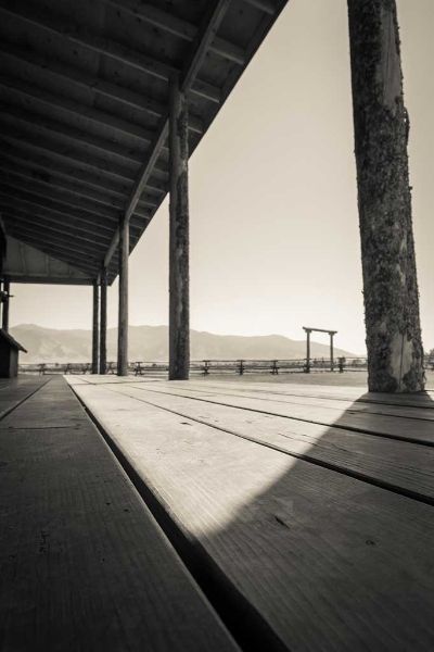 A black and white photo of a wooden deck with a tree in the foreground.