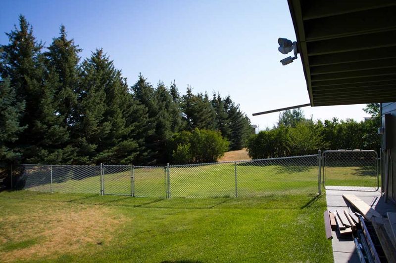 A backyard with a chain link fence and trees in the background
