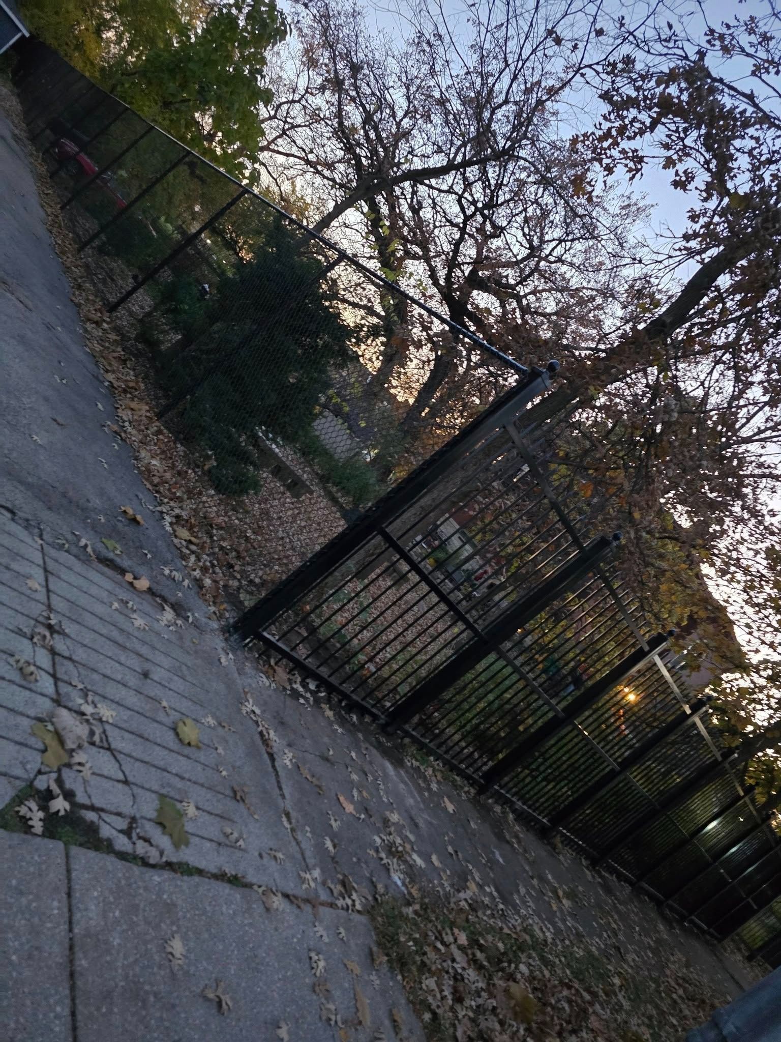Tilted view of a fenced sidewalk beside trees with autumn leaves and a setting sun.