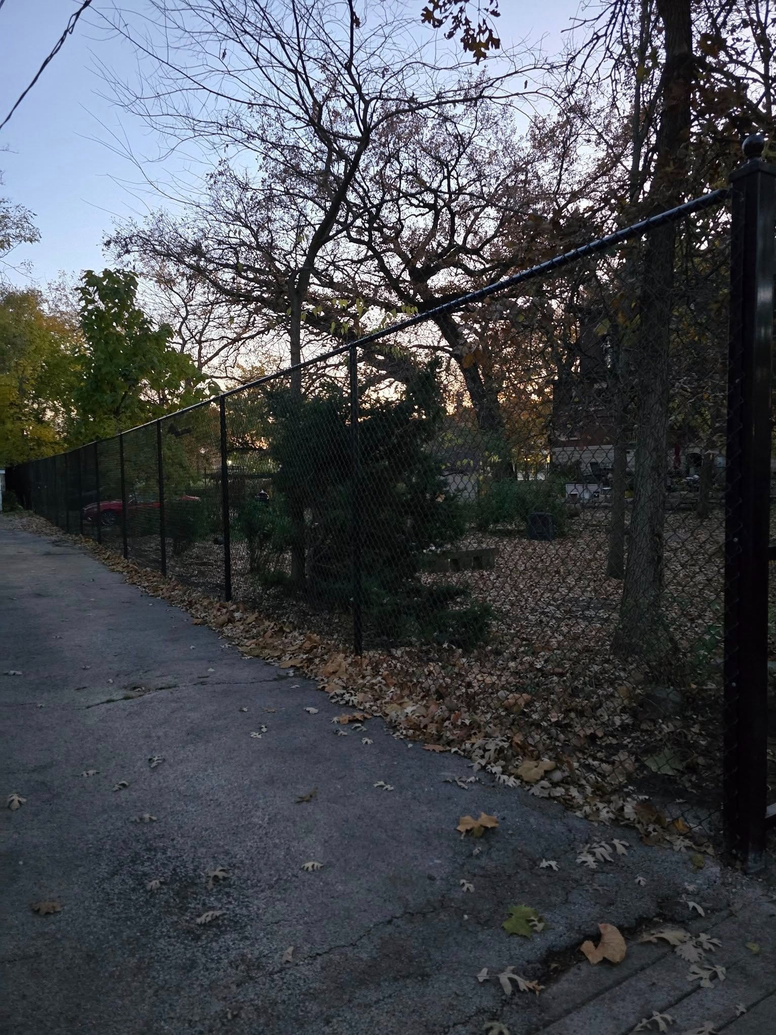 Chain-link fence beside a paved path, with leafless trees and fallen leaves at dusk.