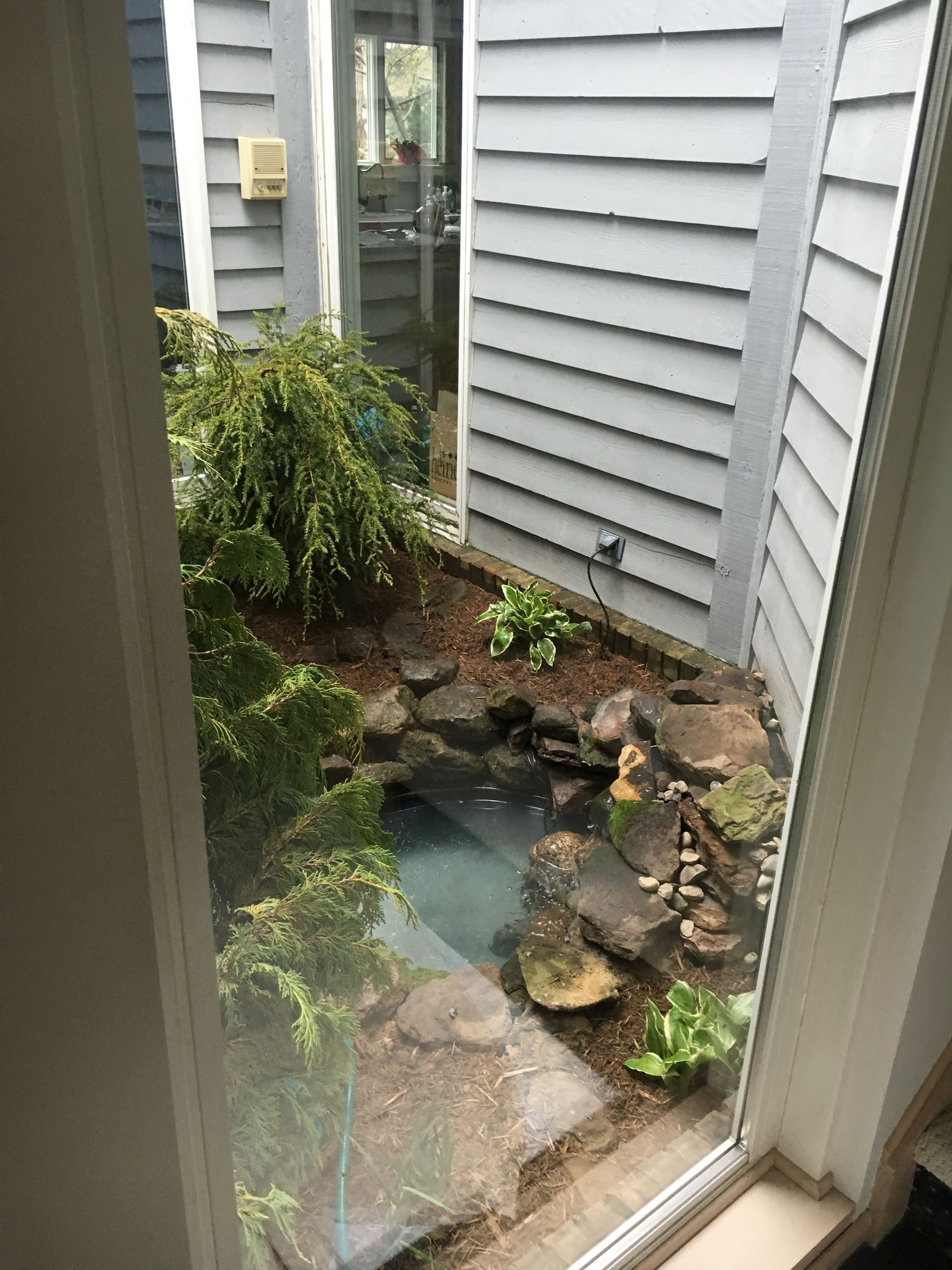 View through a window of a small backyard pond with rocks, plants, and gray house siding.