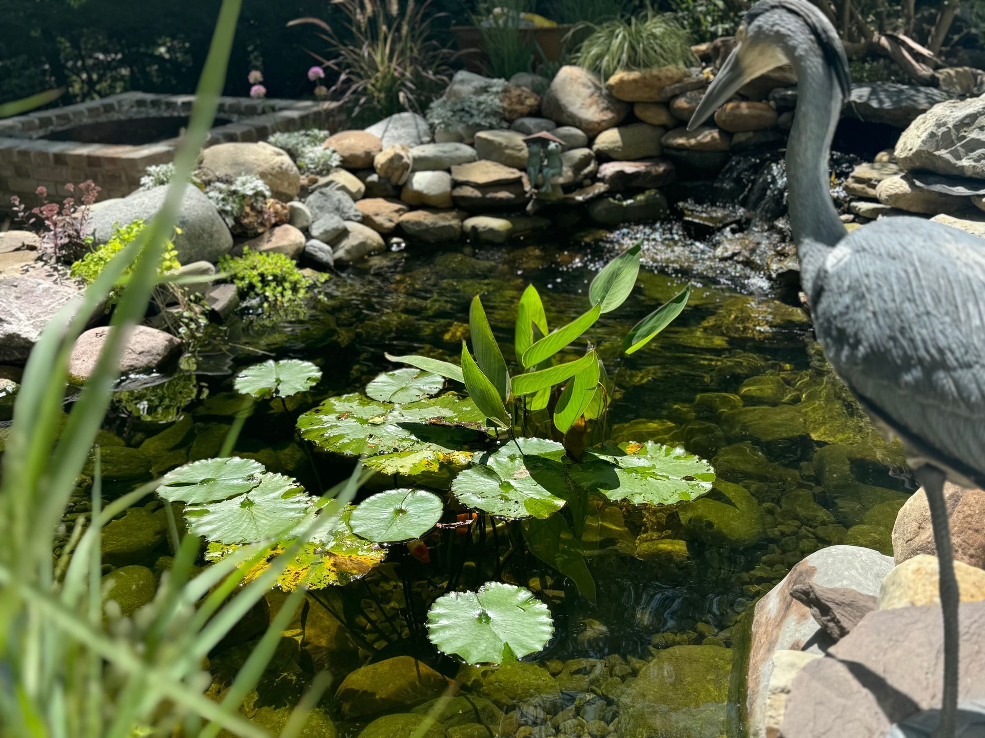 Garden pond with lily pads and a heron statue beside rocks and grasses