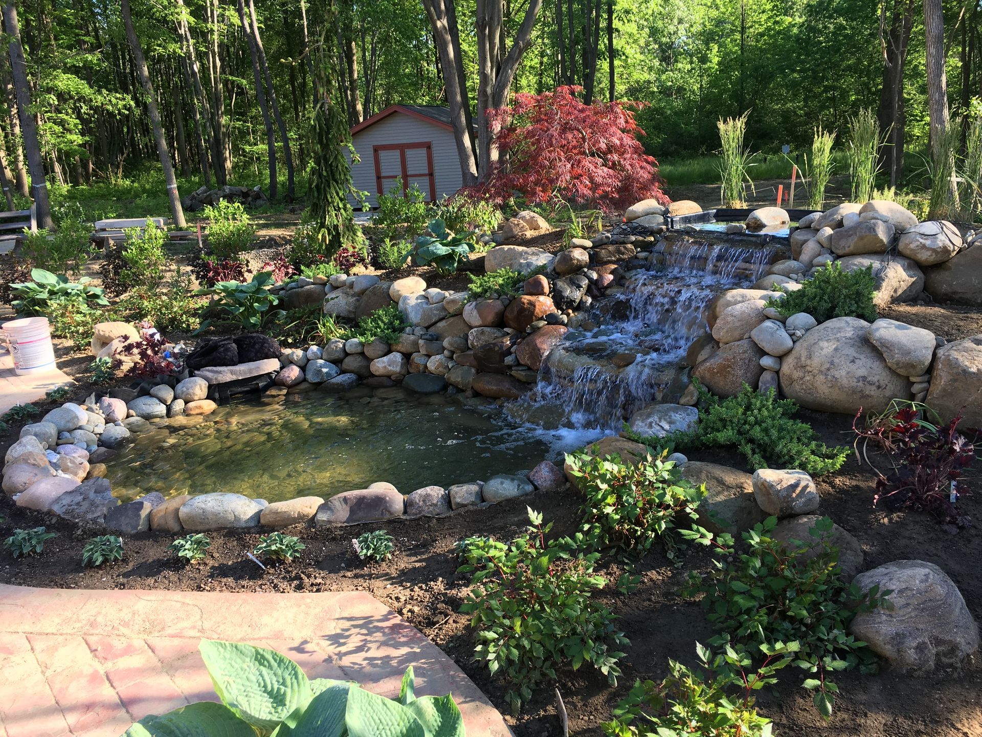 Rock garden pond with a small waterfall, surrounded by flowers, stones, and trees in a backyard