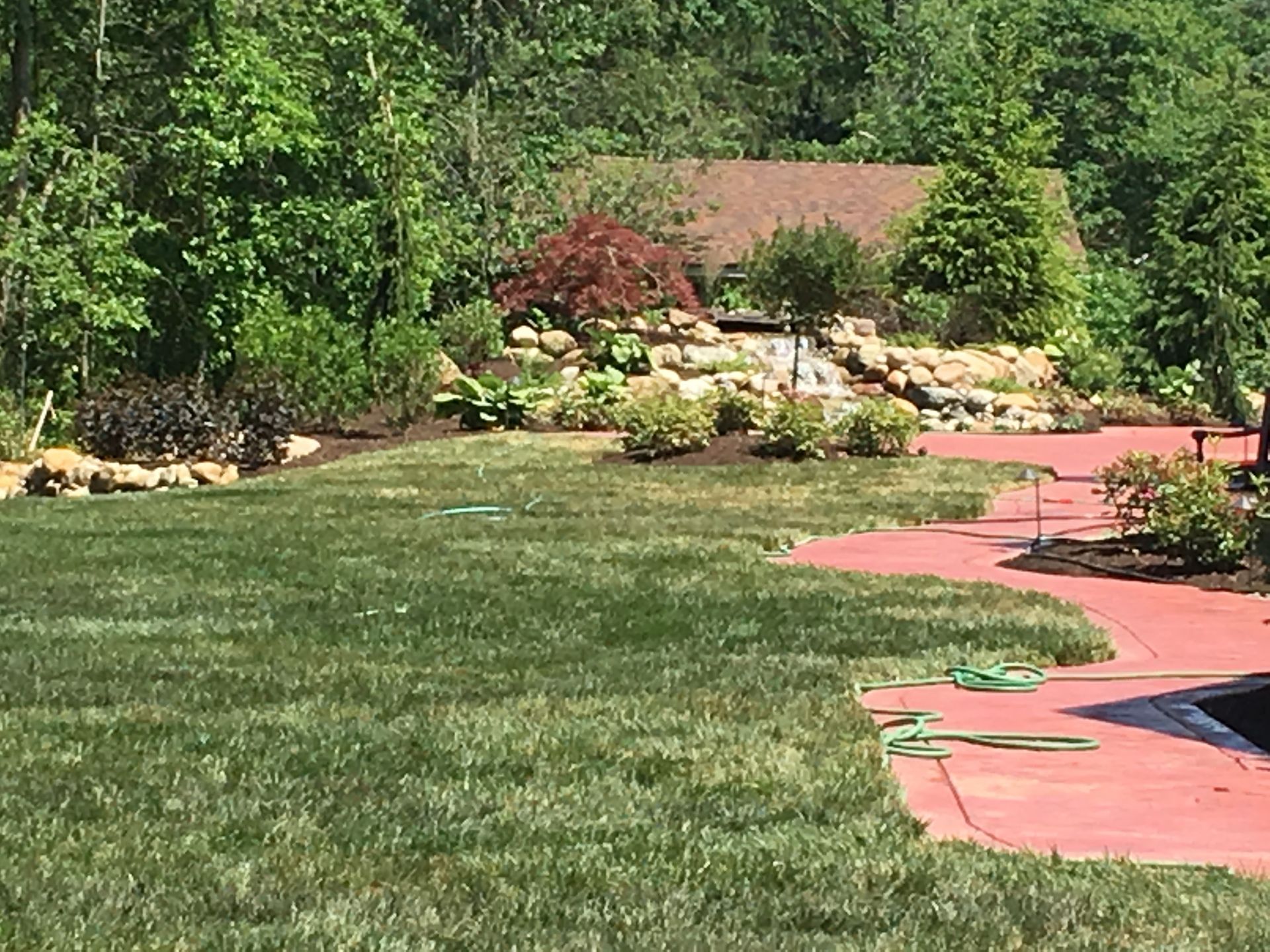 Sunny backyard with green lawn, red patio path, rocks, shrubs, and trees