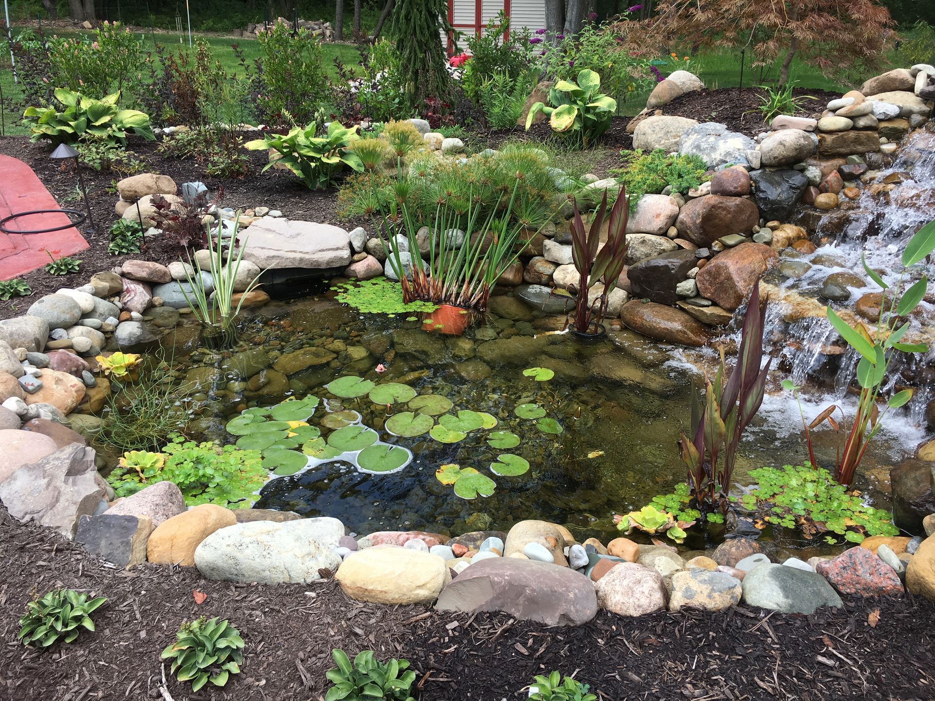Small backyard pond with lily pads, rocks, and a little waterfall surrounded by plants