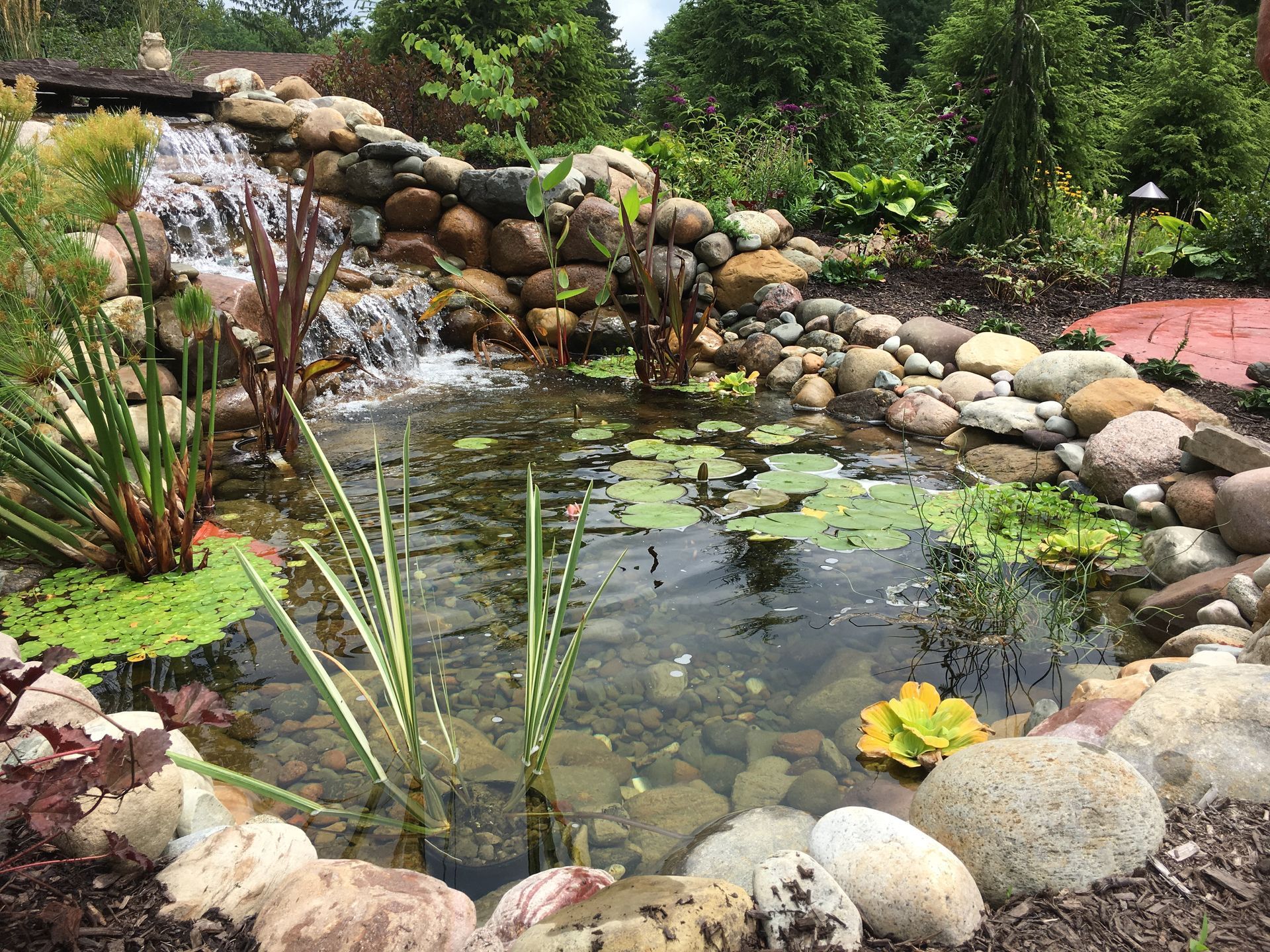 Backyard pond with rocks, lily pads, and a small waterfall surrounded by greenery