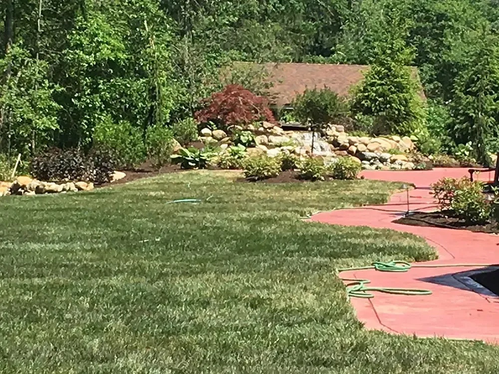 Backyard lawn with a pink patio, flower beds, and trees under a clear sky.