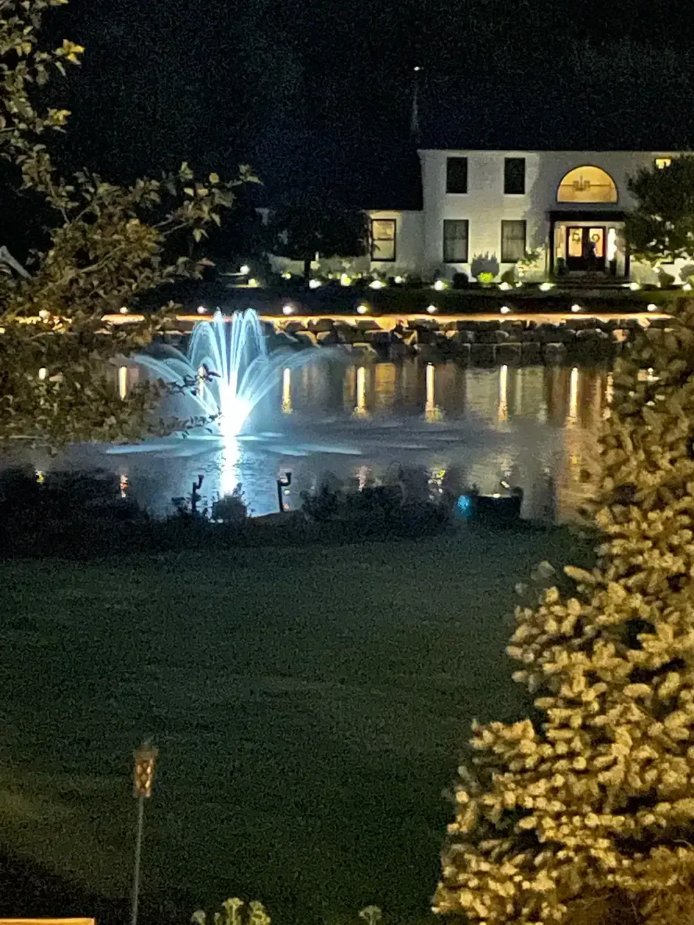 Nighttime view of a lit fountain and reflective pond in front of a white building with an arched entrance.