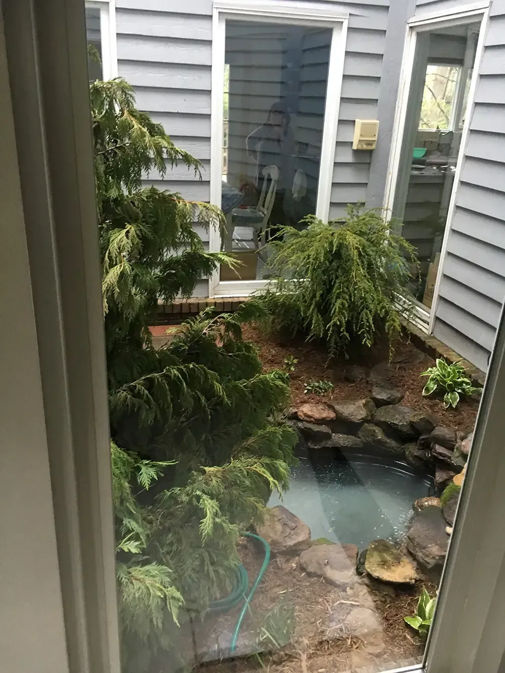 Small courtyard garden with rocks, a pond, and lush green plants beside house windows.