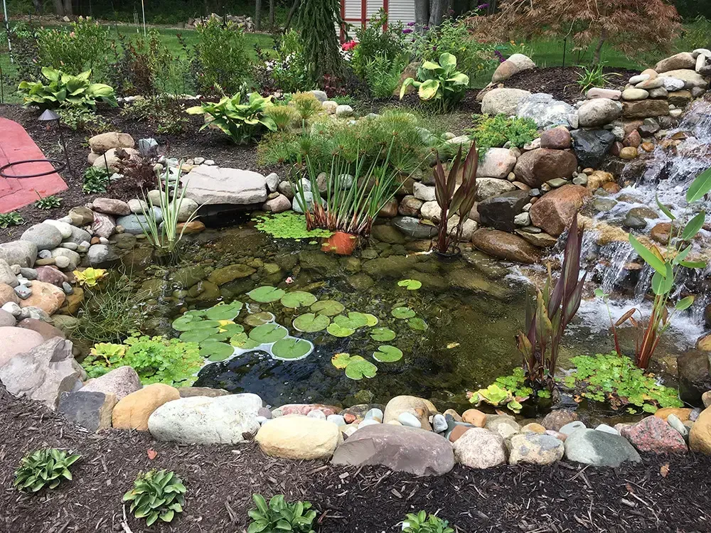 Small backyard pond with lily pads, rocks, and a flowing waterfall surrounded by greenery.