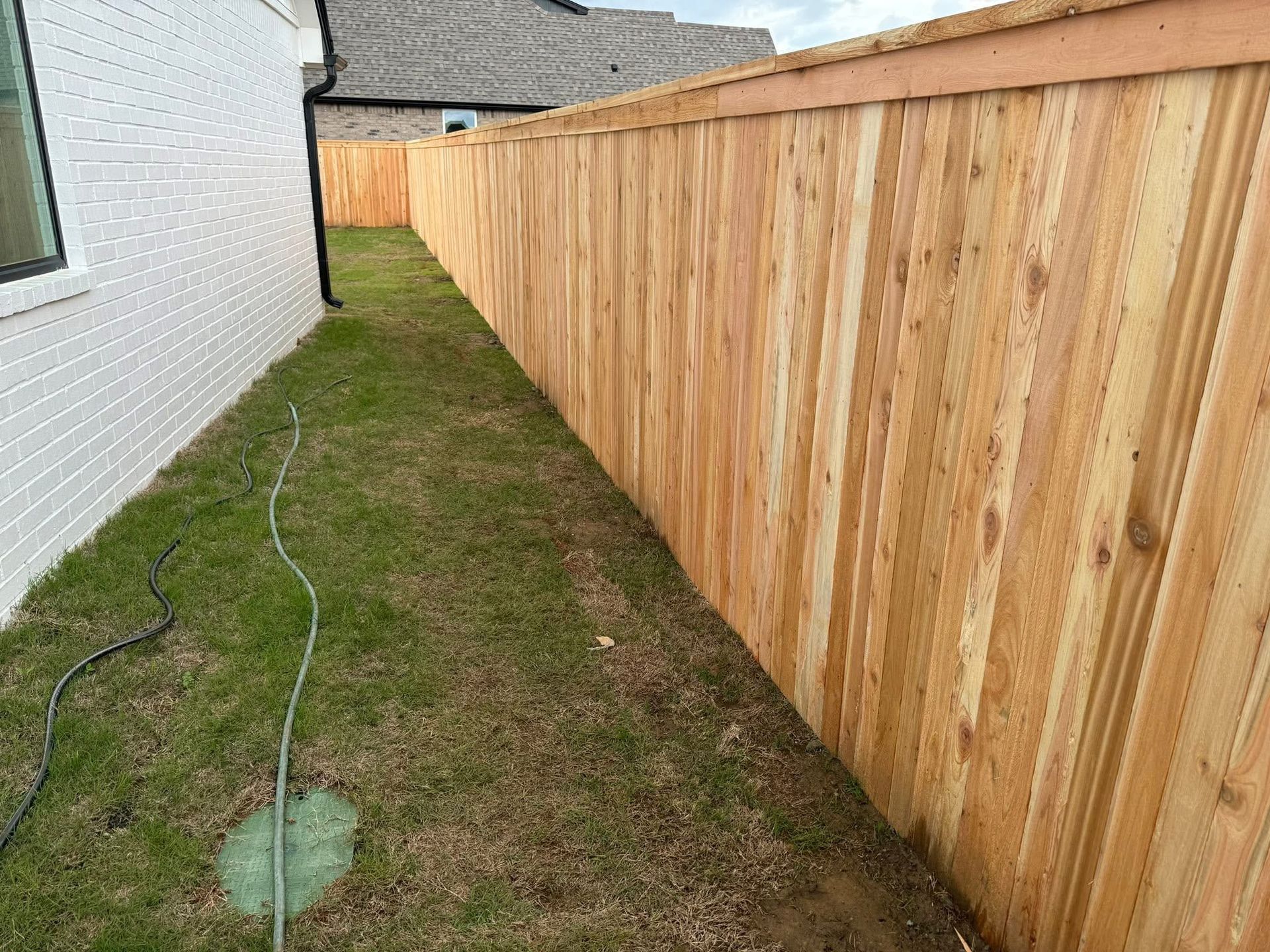 Narrow grassy side yard between a white house and a tall wooden fence, with a hose on the ground