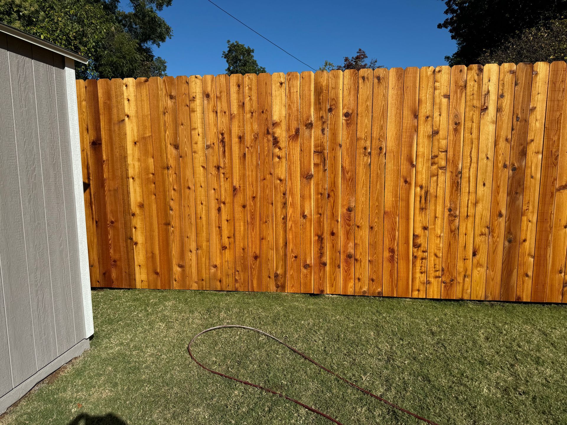 Backyard with a wooden fence, grass lawn, and a gray shed on the left.