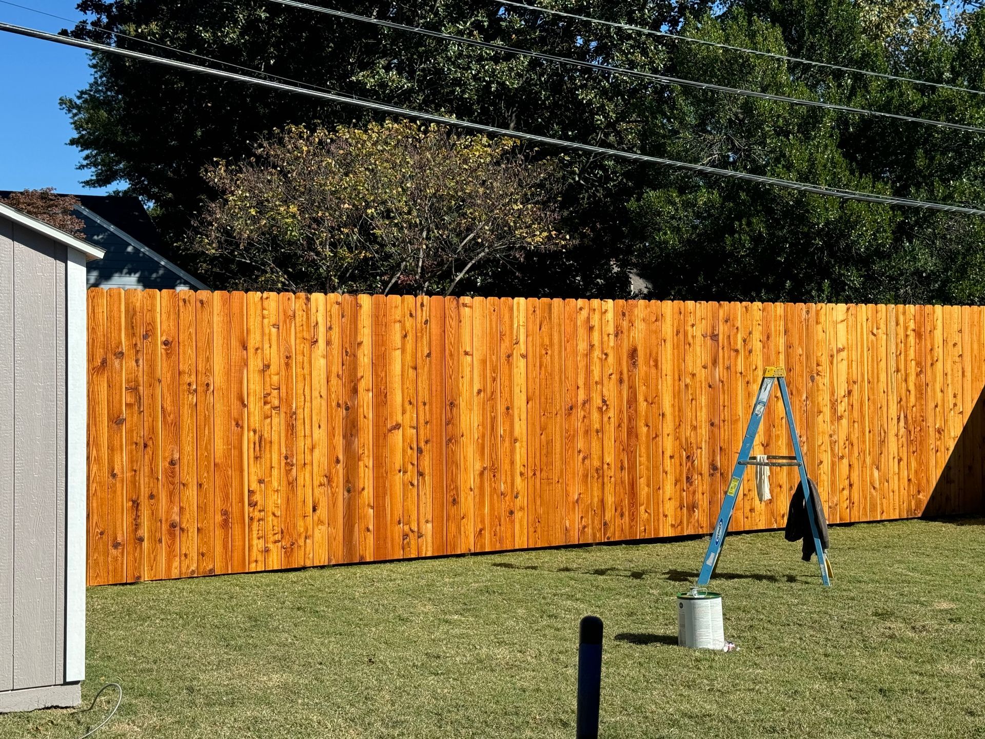 Backyard with a new wooden fence, green lawn, and an A-frame ladder near a gray bucket.