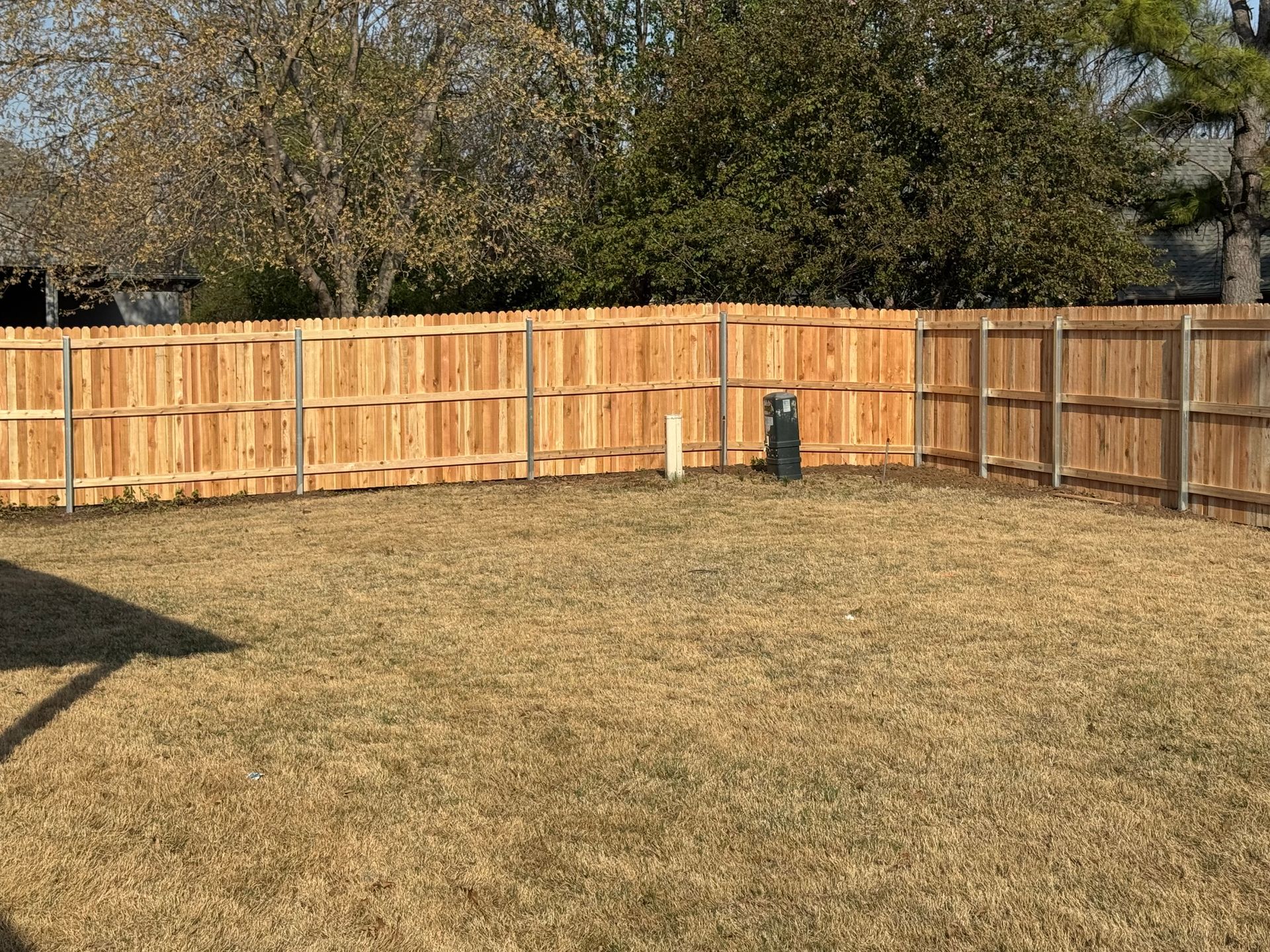 Backyard with dry grass and a wooden fence under trees