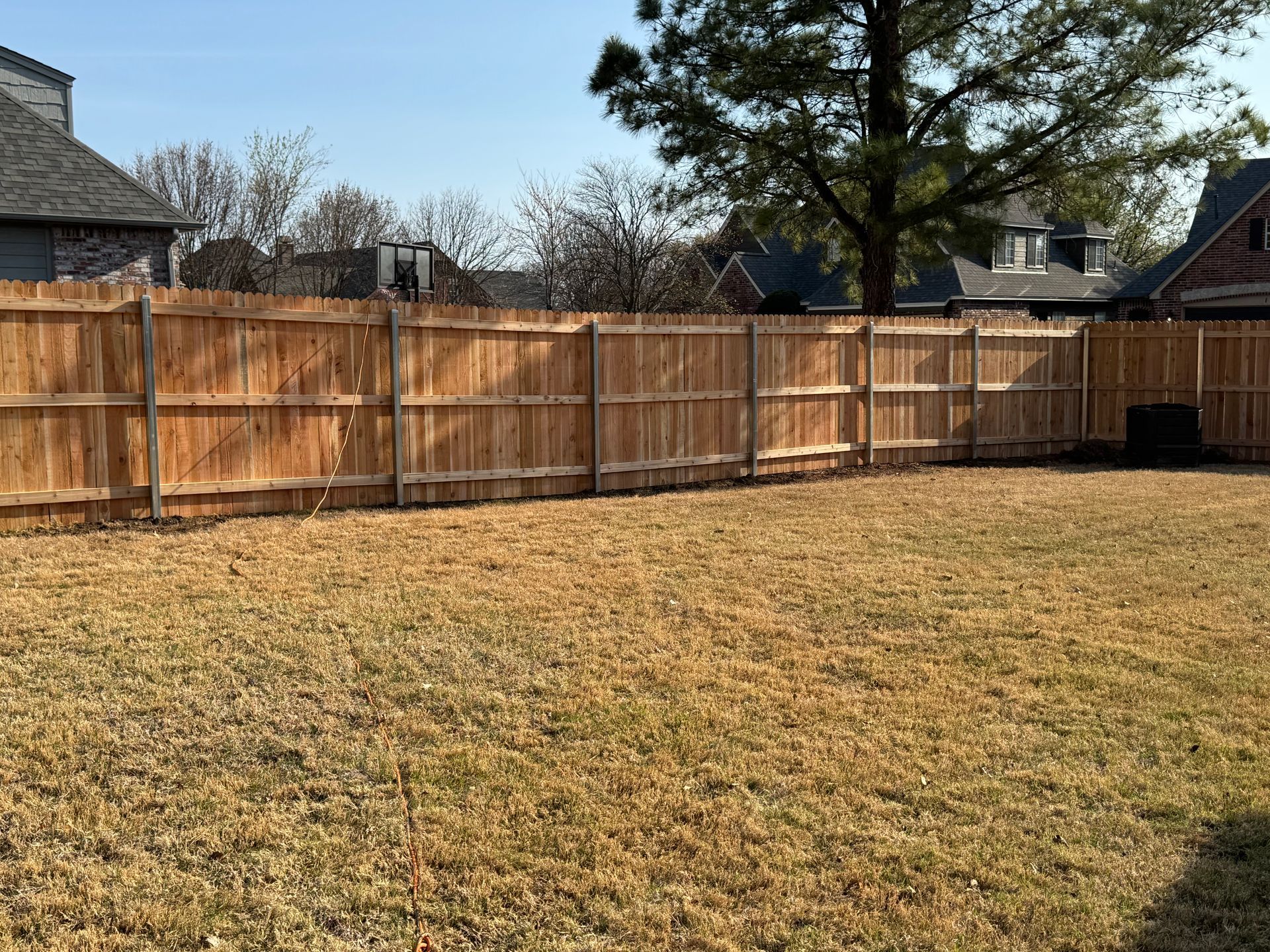 Backyard with a wooden fence, dry grass, and a large tree under a clear sky
