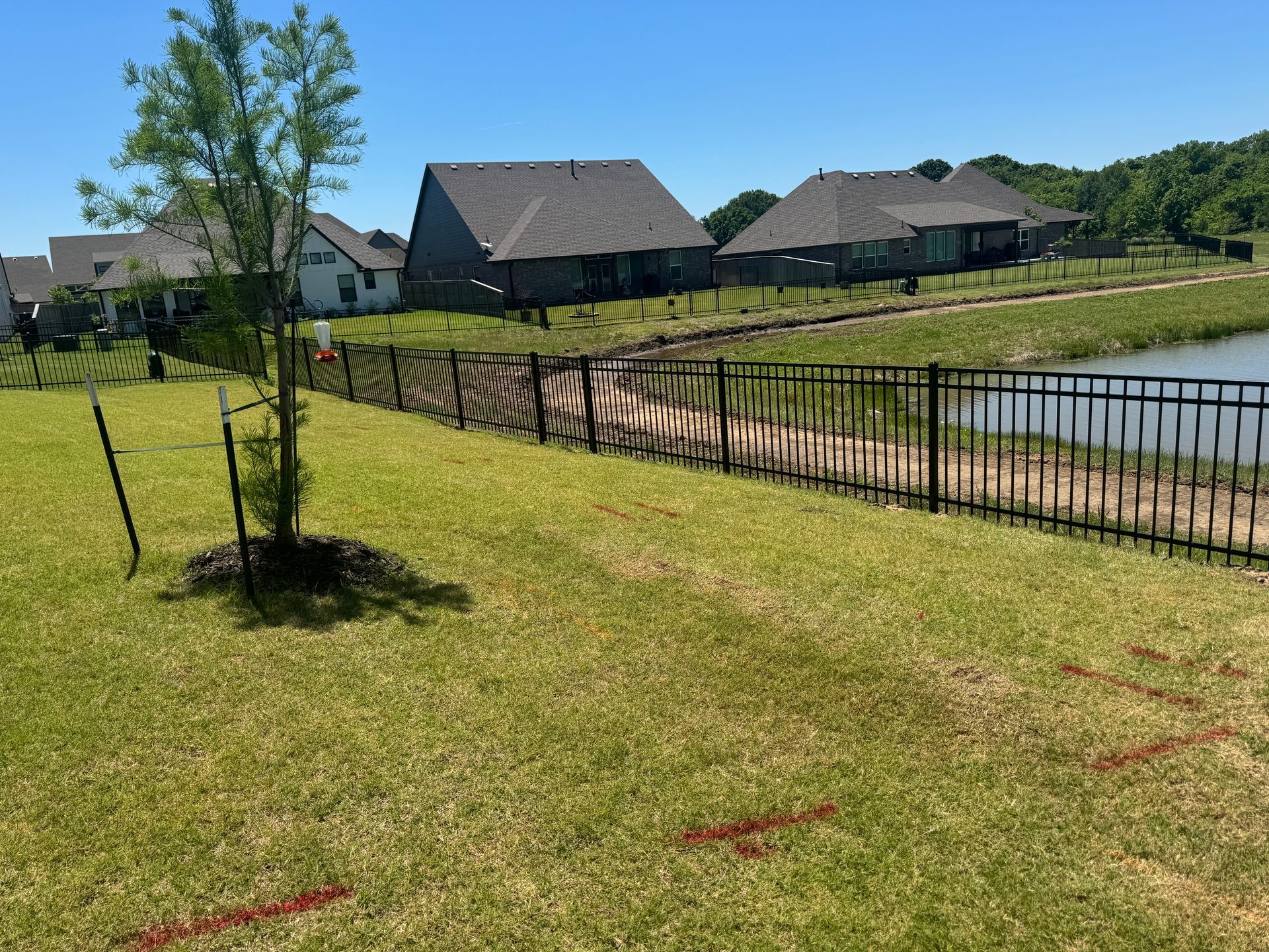 Suburban lakeside homes behind a black fence, with a grassy foreground and a small tree under a clear blue sky