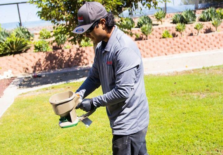 Person in gray shirt and cap mixing soil in a garden on a sunny lawn.