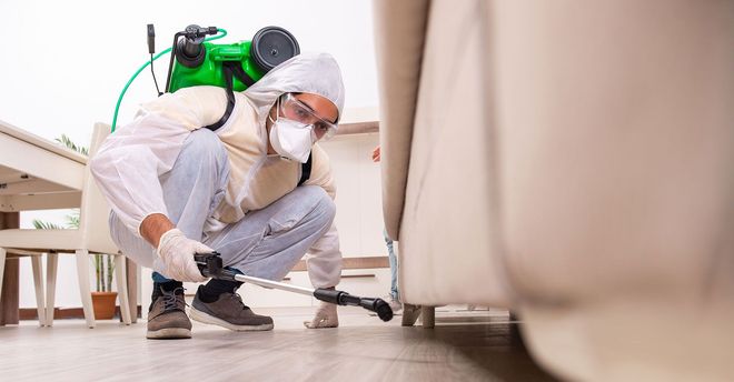 Person in protective gear disinfecting a floor beside a couch with a green sprayer