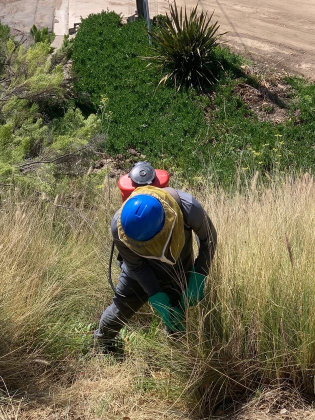 Jamul Pest Control