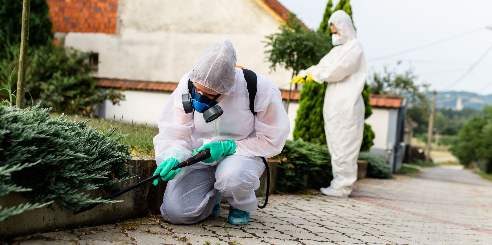 Two workers in protective suits spraying shrubs beside a house and sidewalk