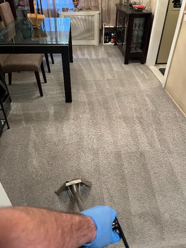A person is cleaning a carpet in a living room with a vacuum cleaner.