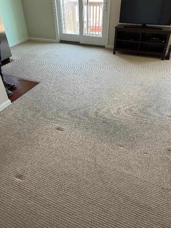 A living room with a carpeted floor and a flat screen tv.