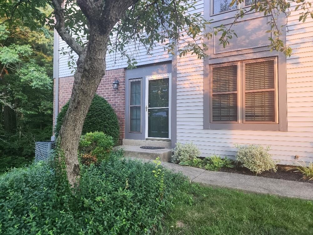 A white house with a brick wall and a tree in front of it.