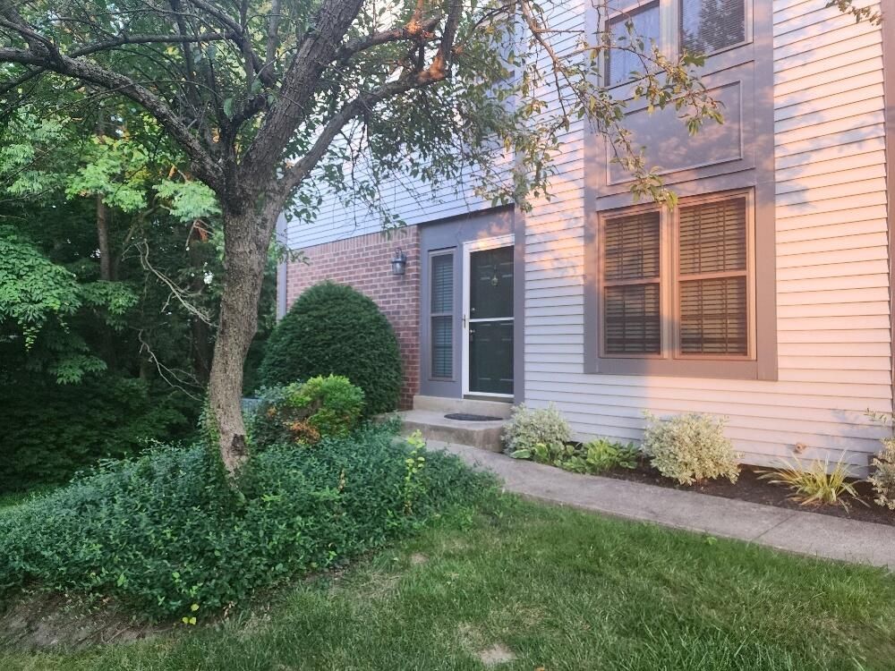 A house with a lot of windows and a tree in front of it.