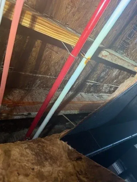Pipes in a crawlspace: red, white, and pink pipes run along a wooden ceiling.
