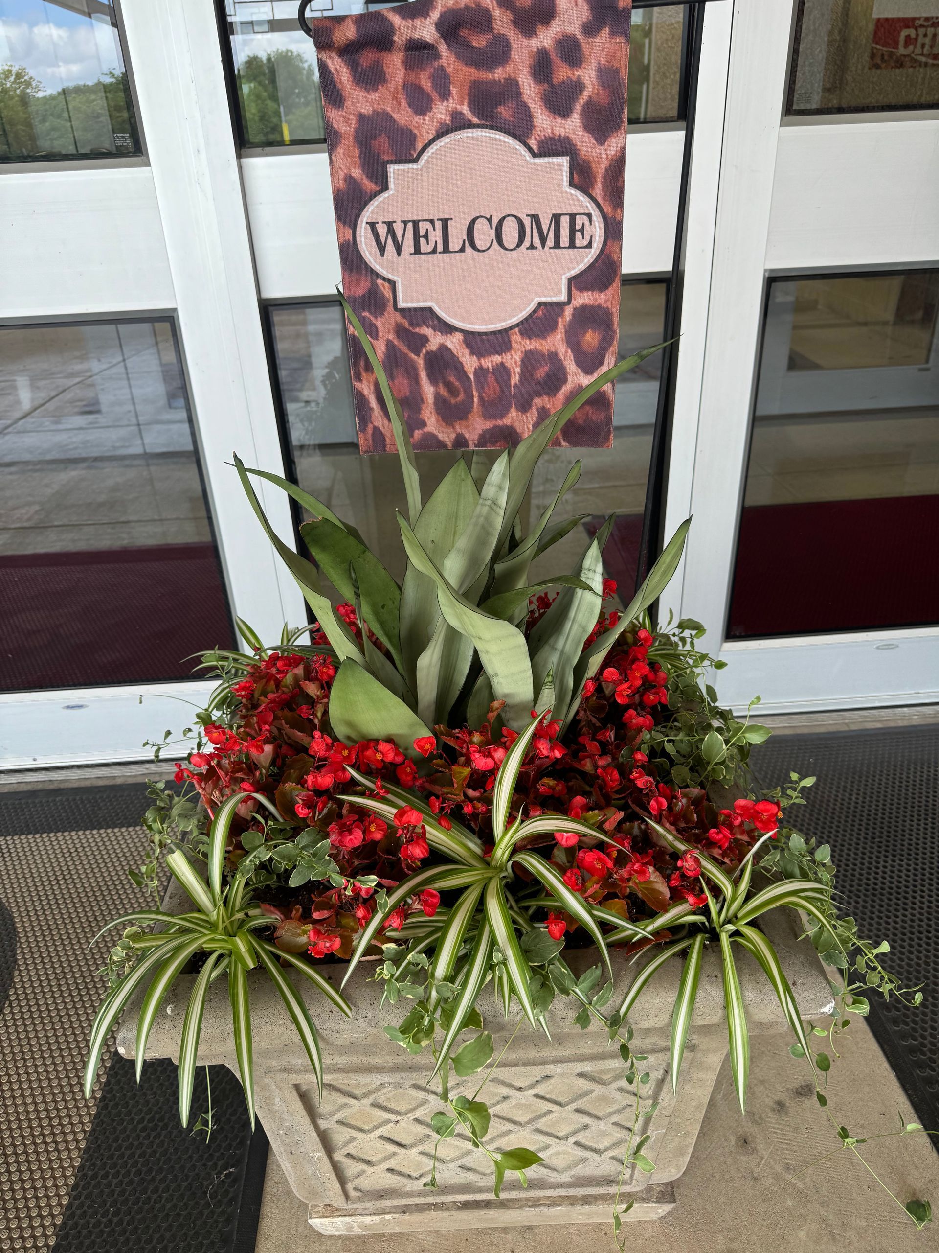 A potted plant with red flowers and a welcome sign in front of a door.