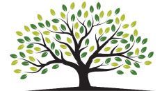 Better Lawns and Landscapes