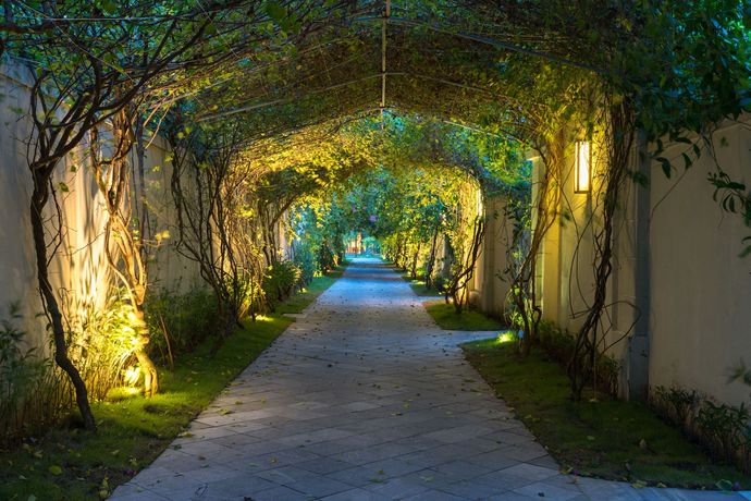 Lit stone walkway under an arching green vine canopy, softly illuminated by warm lights at dusk