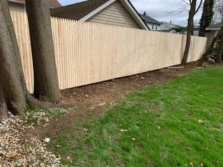 A wooden fence is surrounded by trees in a backyard