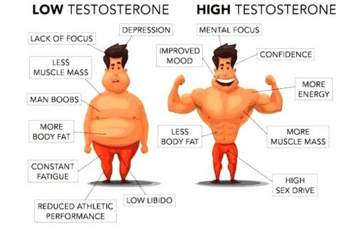 Illustration comparing the effects of low vs. high testosterone. One man is overweight, sad; the other is muscular, smiling.