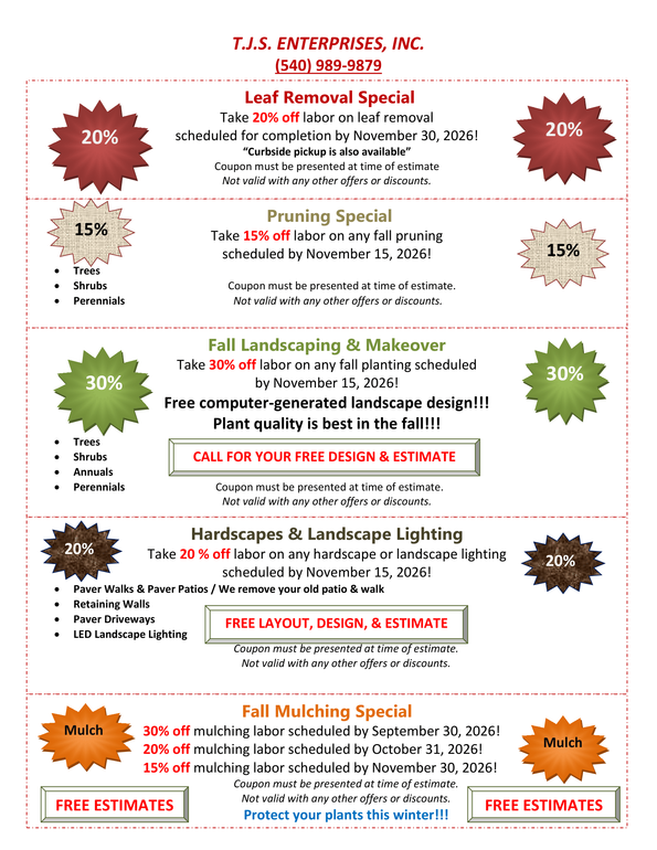 Promotional flyer with multiple sale sections, starburst labels, and product prices on a white background