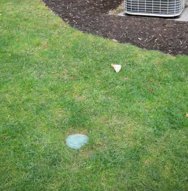 Green lawn with a blue-green circular marking, near a brown mulch bed and an air conditioning unit.
