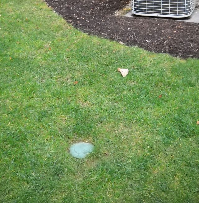 Green lawn with a blue-green circular marking, near a brown mulch bed and an air conditioning unit.