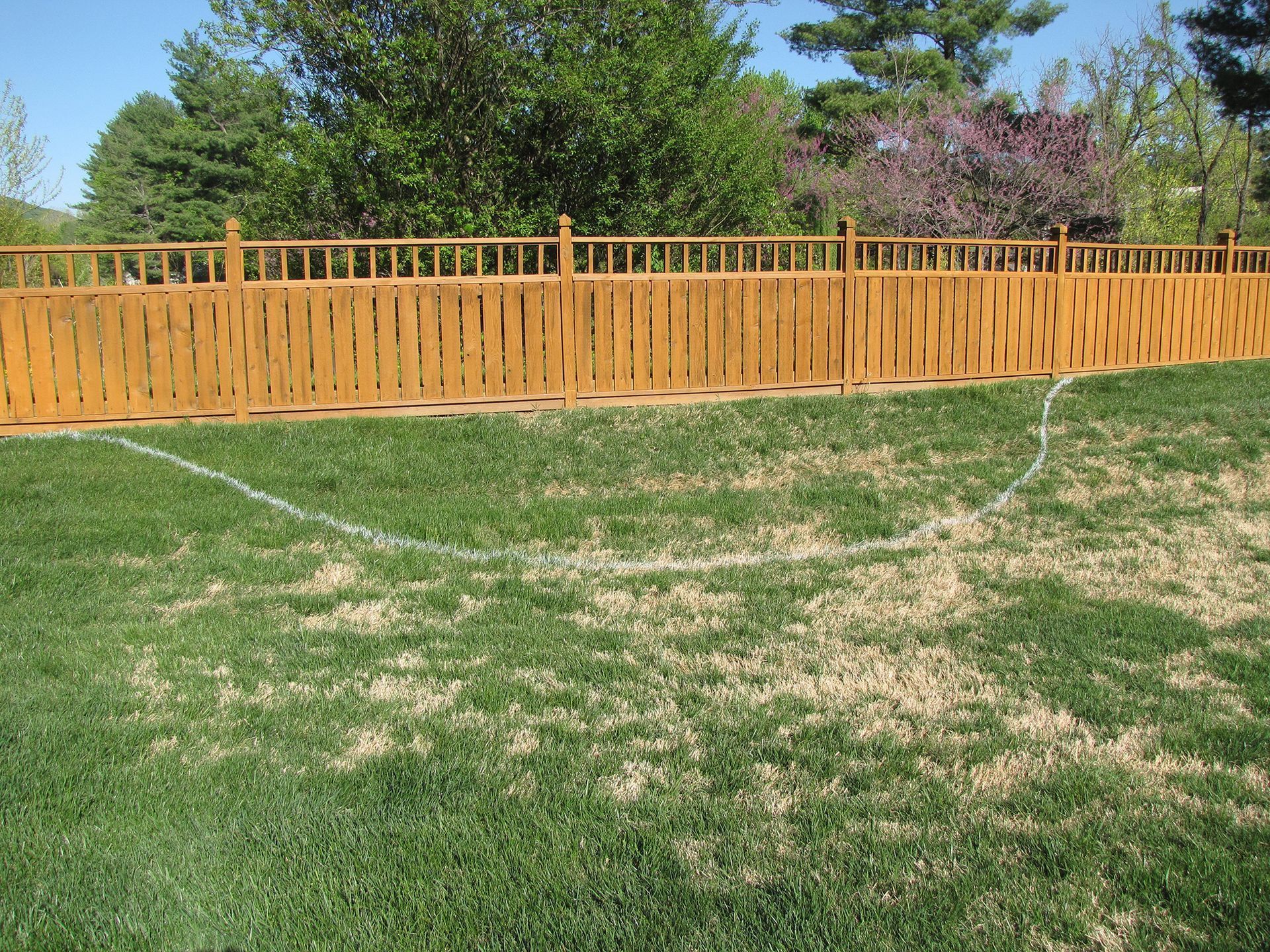 Wooden fence surrounds a green lawn with a white dotted line, trees in the background.