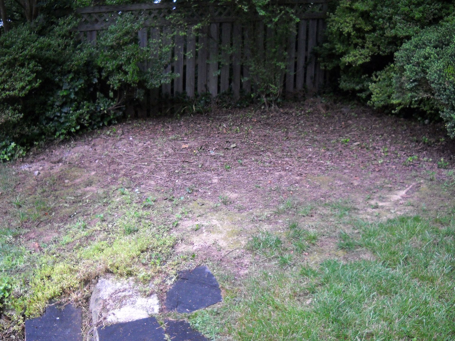 A grassy backyard area with a wooden fence, bushes, and a pathway with stepping stones.