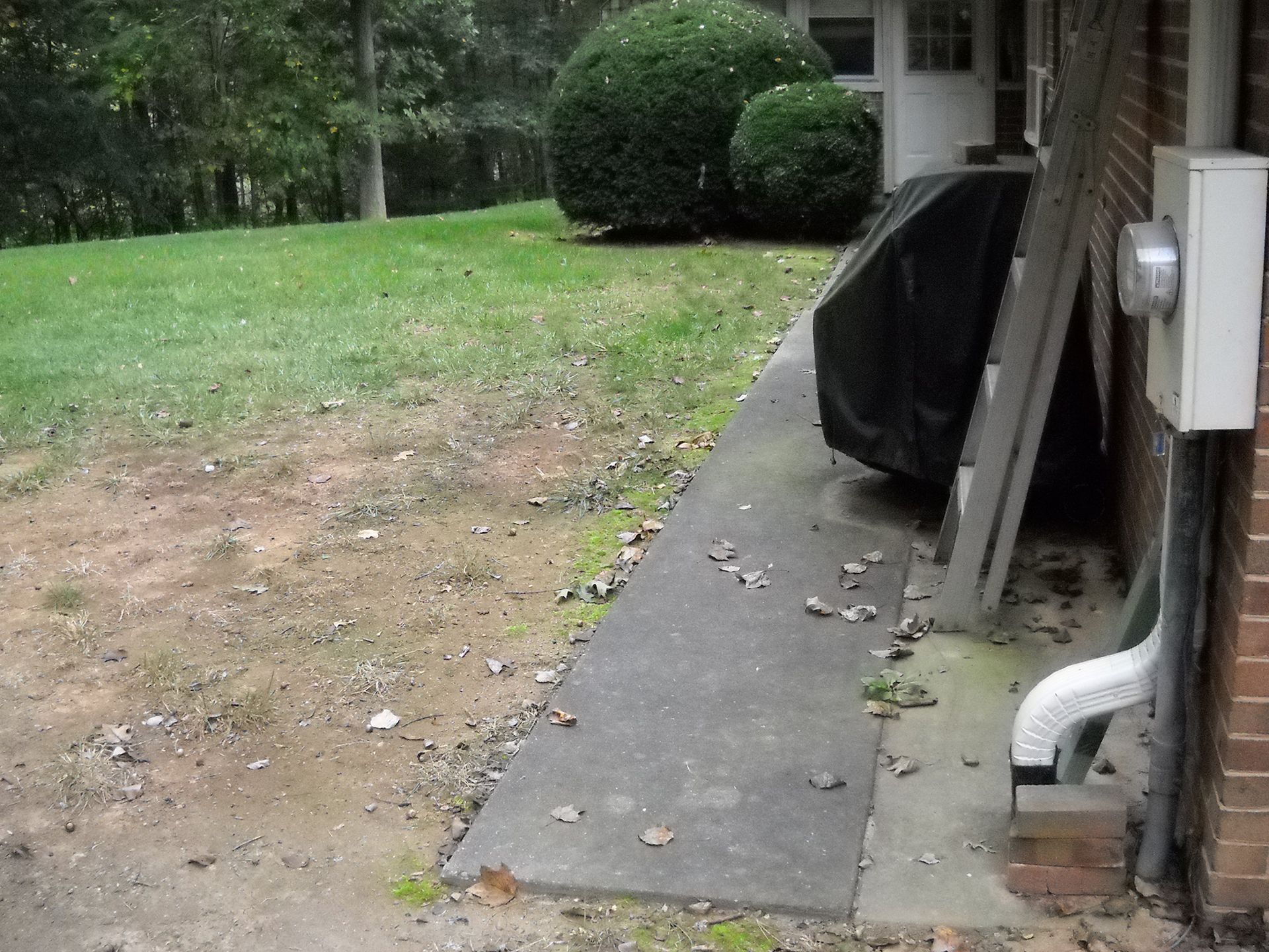 Concrete walkway next to a brick building and a patchy lawn with bushes.