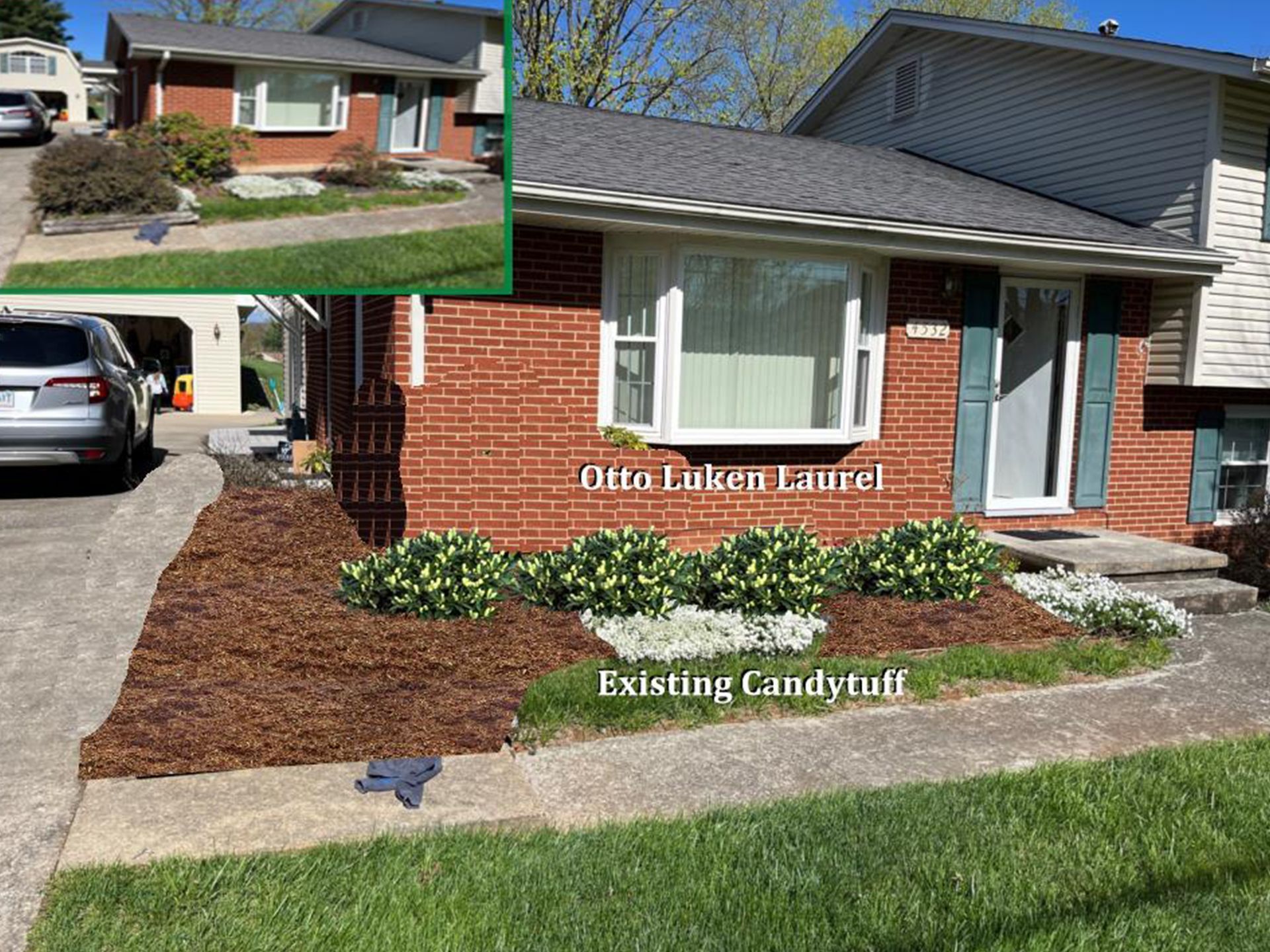 Brick house with a small yard, landscaping includes bushes and existing candytuft.