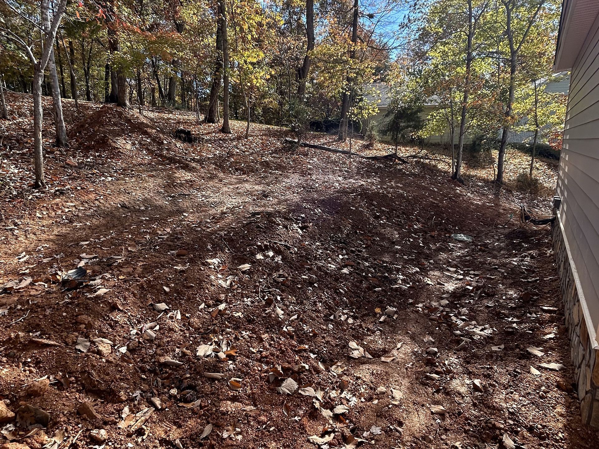 Brown, rocky yard with dead leaves near a building and trees on a hillside in autumn.