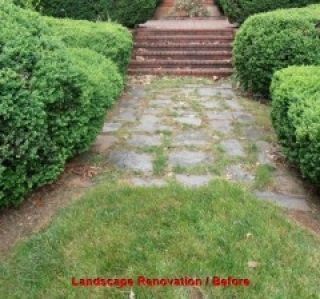 A brick path with stone paving, bordered by trimmed green bushes, leading to brick stairs.