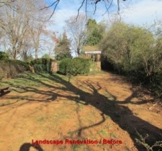 Landscape renovation before: Unkempt yard, tree shadow, bare trees, shrubs, brick structure in the distance.