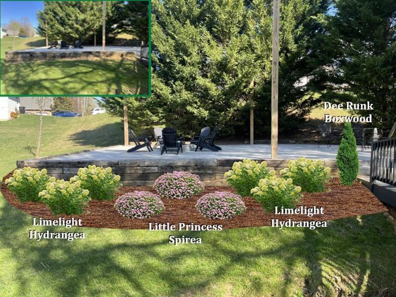 Landscaped patio with hydrangeas, spirea, and a boxwood near a wooded area.