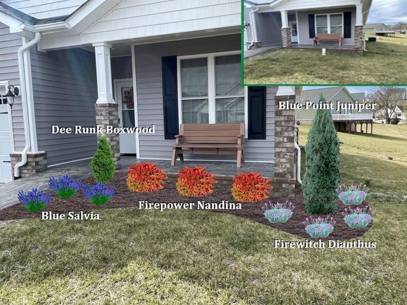 Front yard landscape design with labeled plants: boxwood, juniper, salvia, nandina, and dianthus.