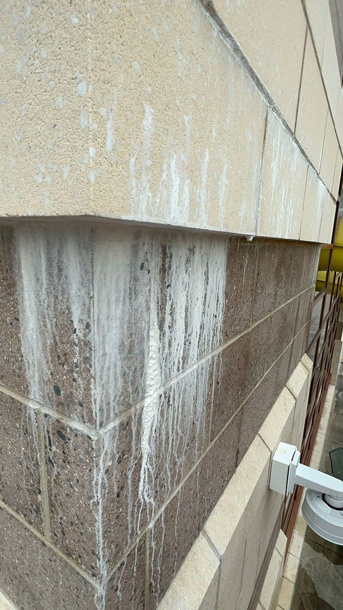 A close-up of a brick wall with white stains on it