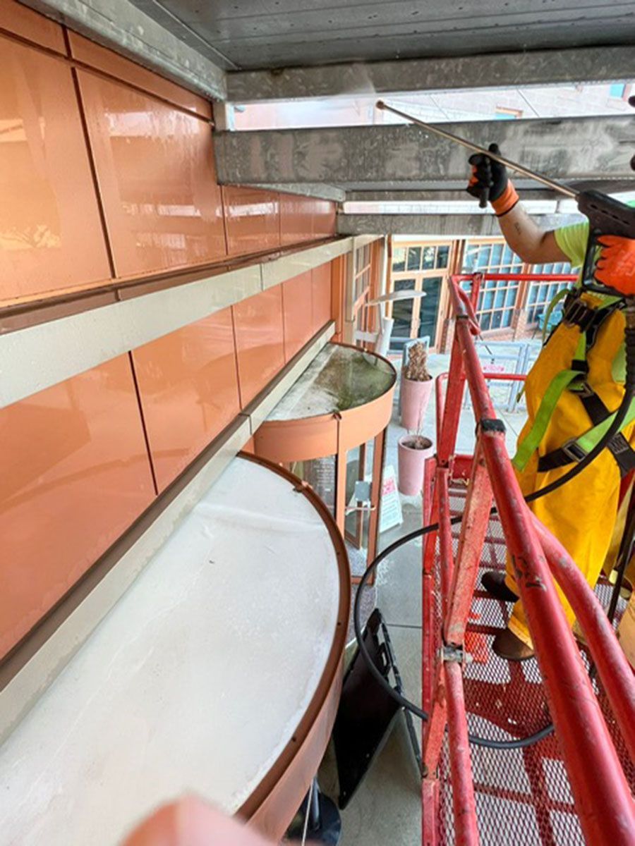 A man is standing on a ladder cleaning a building