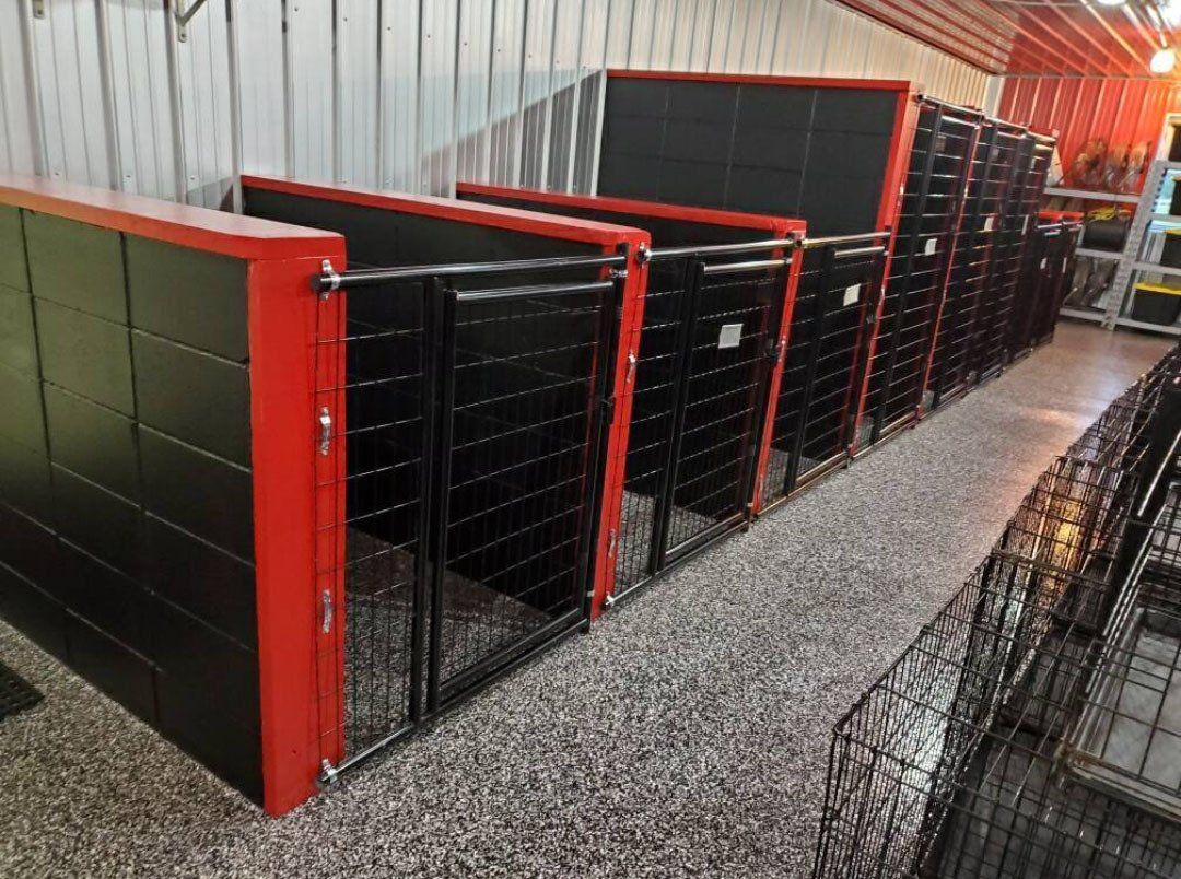 A row of black and red dog kennels in a building.